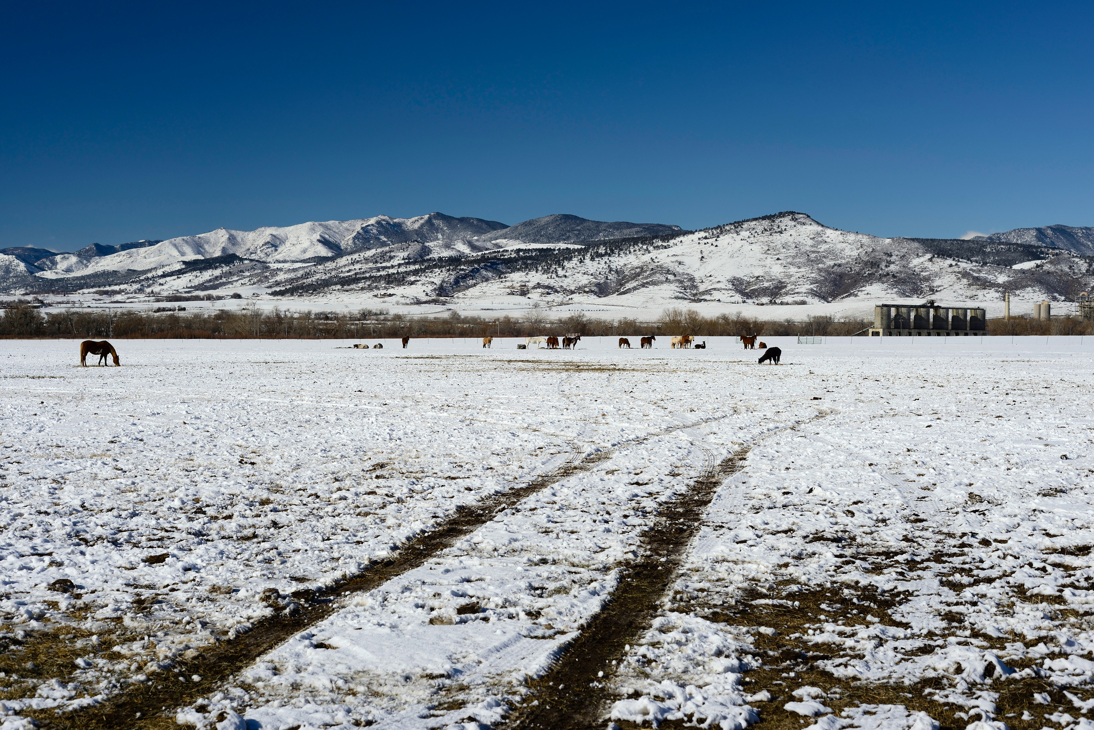 Winter Horse Ranch, Colorado